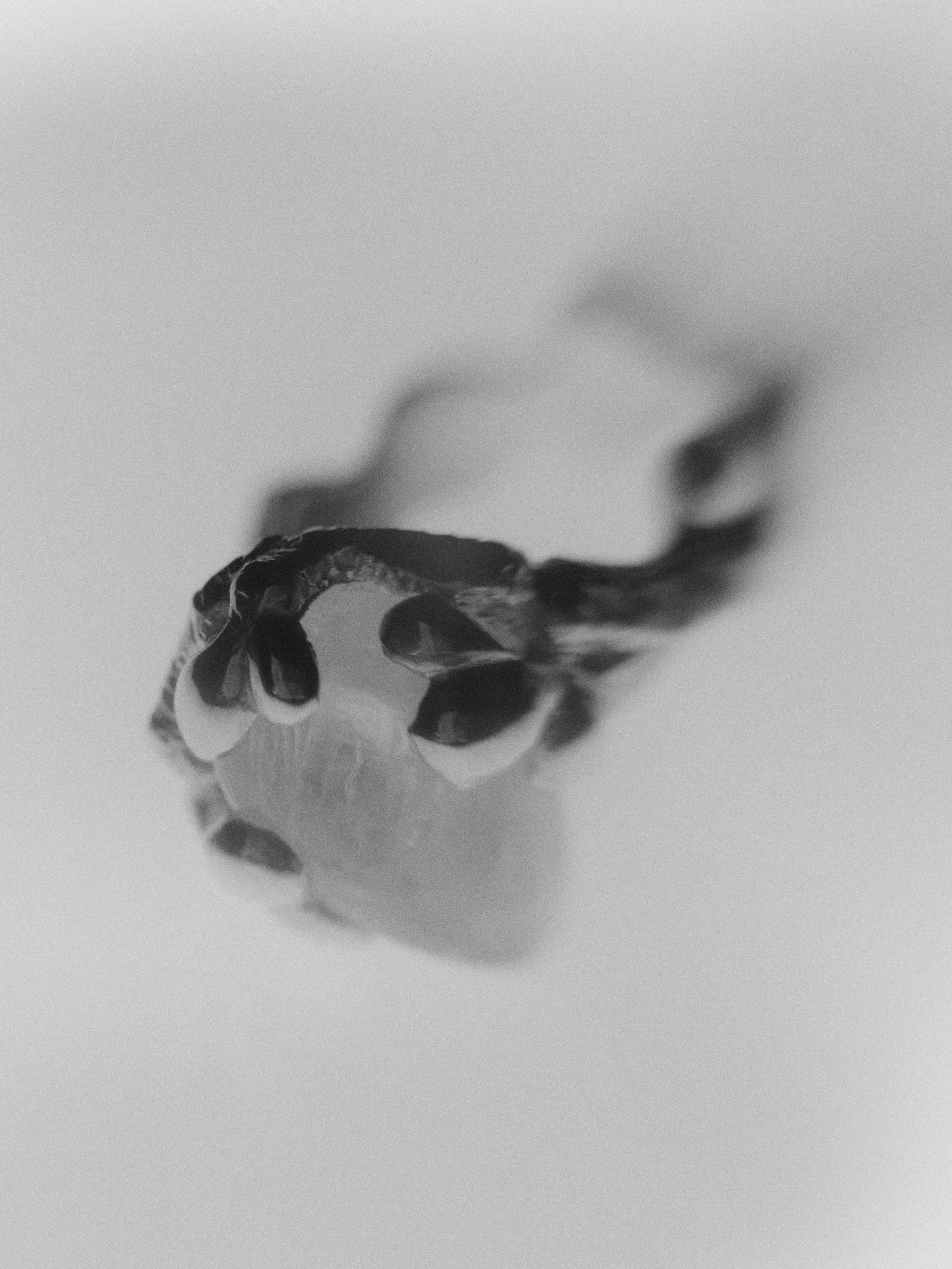 Prsten Komorebi Originál s měsíčním kamenem