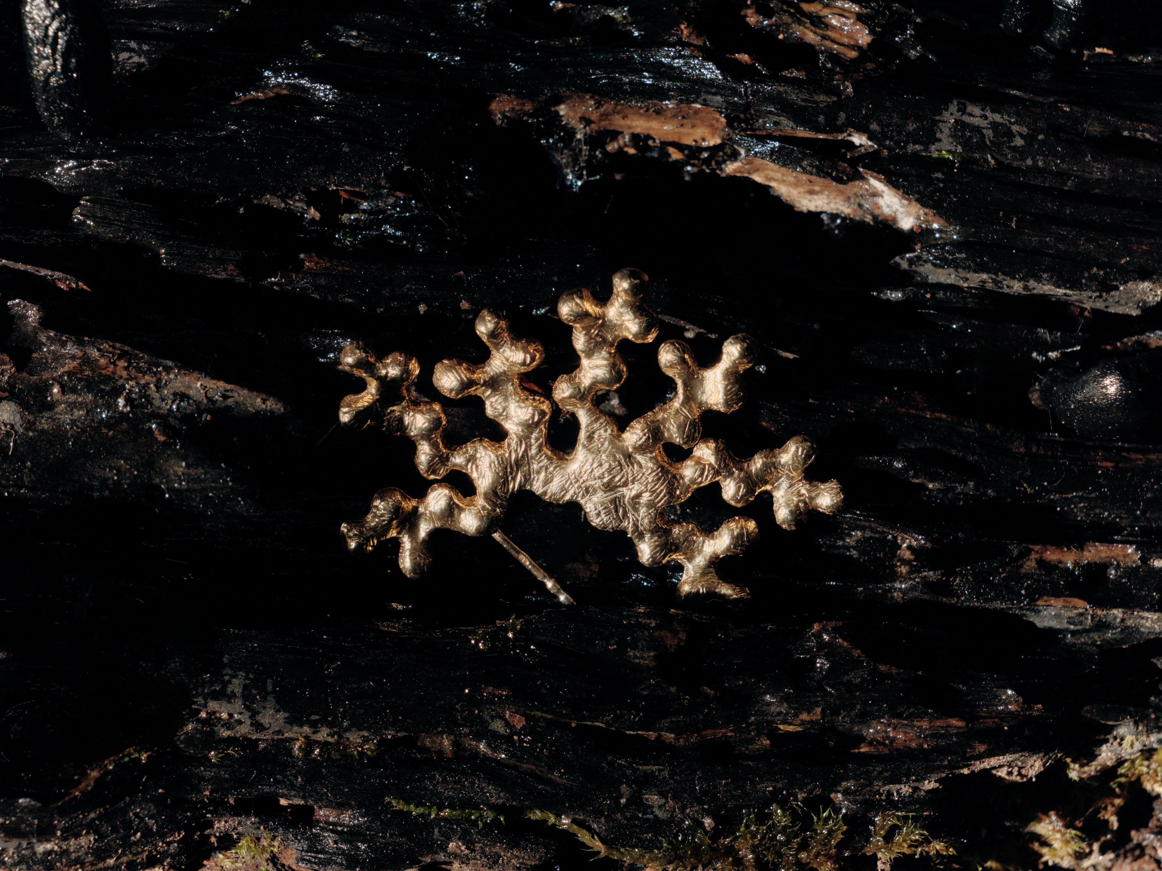 Earrings Komorebi Roots